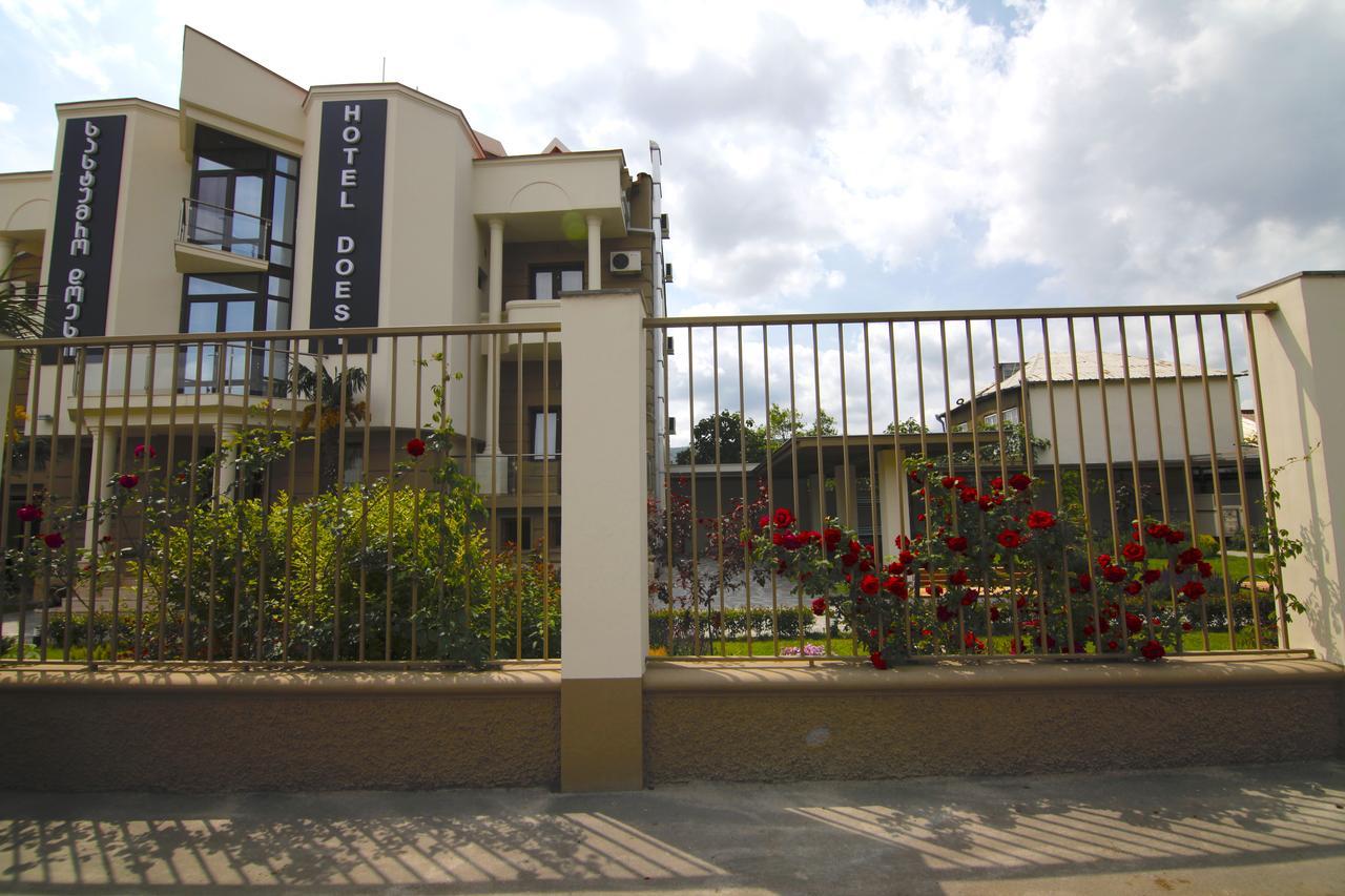 Hotel Doesi Tbilisi Exterior foto